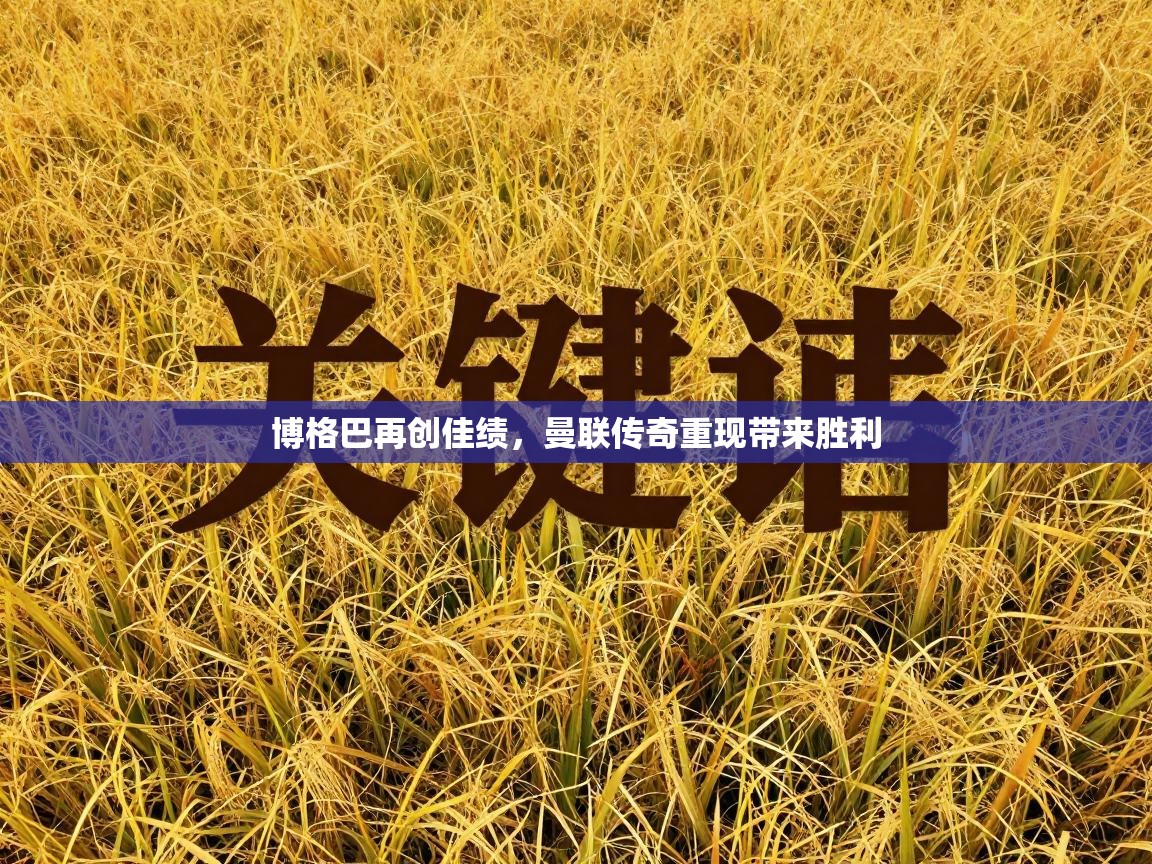 博格巴再创佳绩，曼联传奇重现带来胜利  第1张
