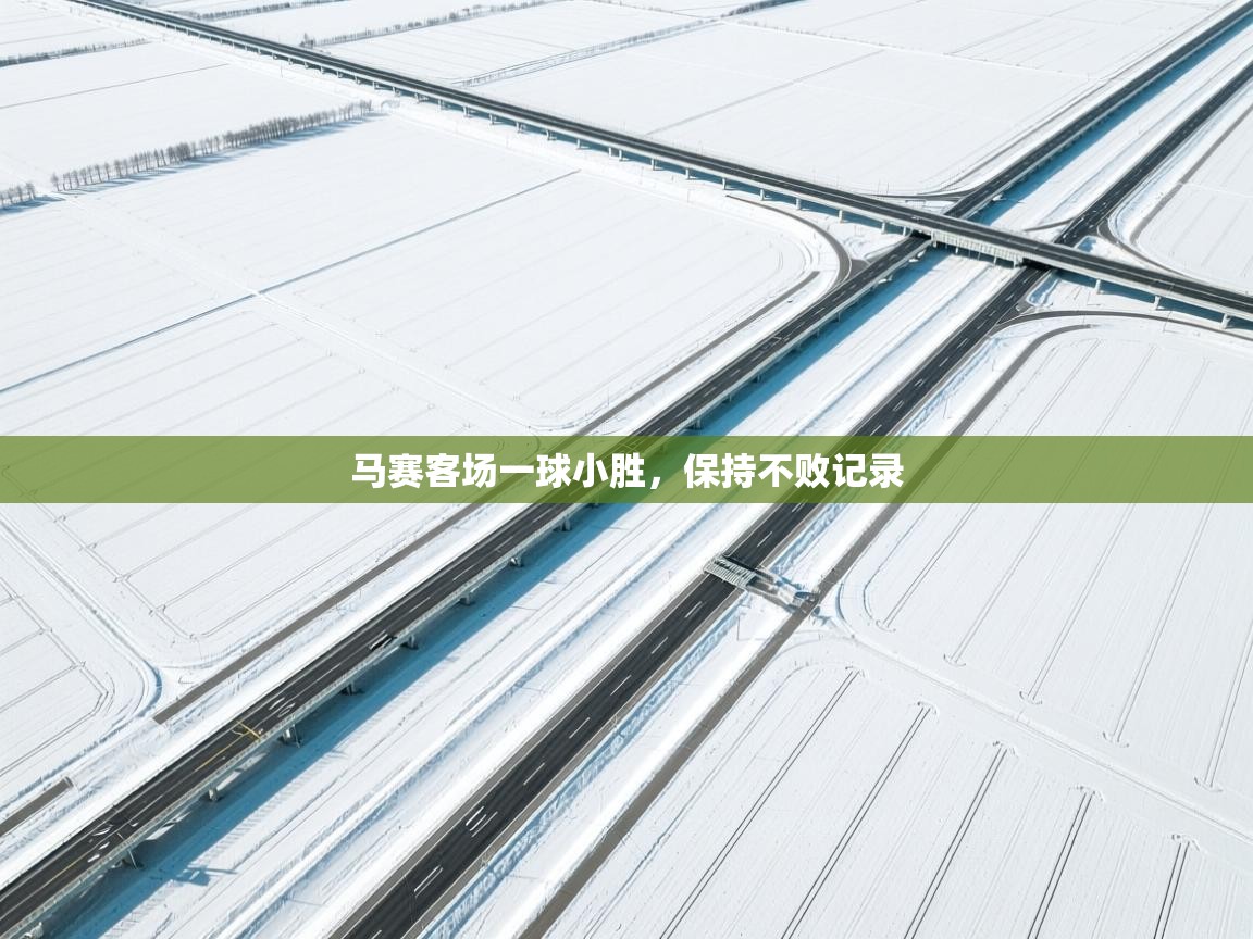 马赛客场一球小胜，保持不败记录  第1张