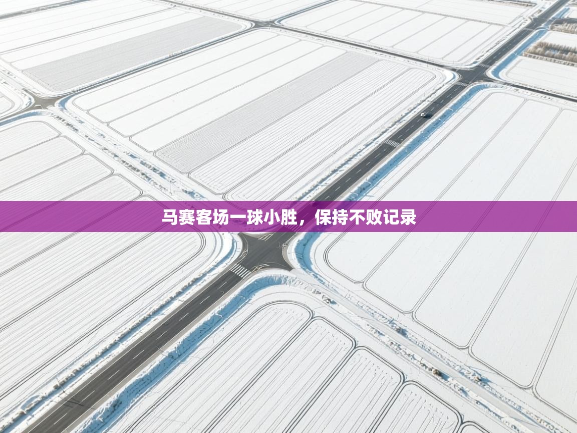 马赛客场一球小胜，保持不败记录  第2张