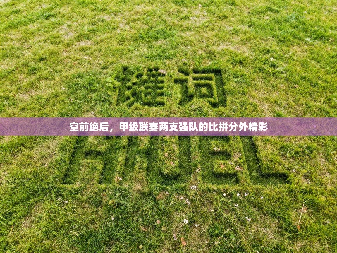 空前绝后，甲级联赛两支强队的比拼分外精彩  第1张