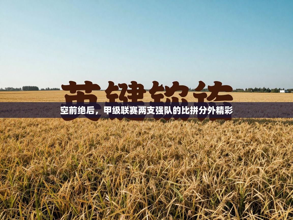 空前绝后，甲级联赛两支强队的比拼分外精彩  第2张