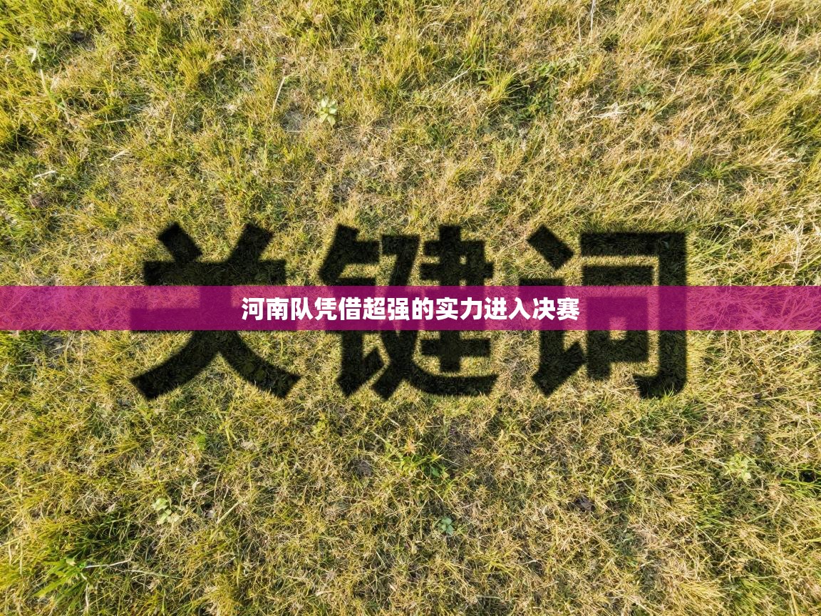 河南队凭借超强的实力进入决赛 第2张