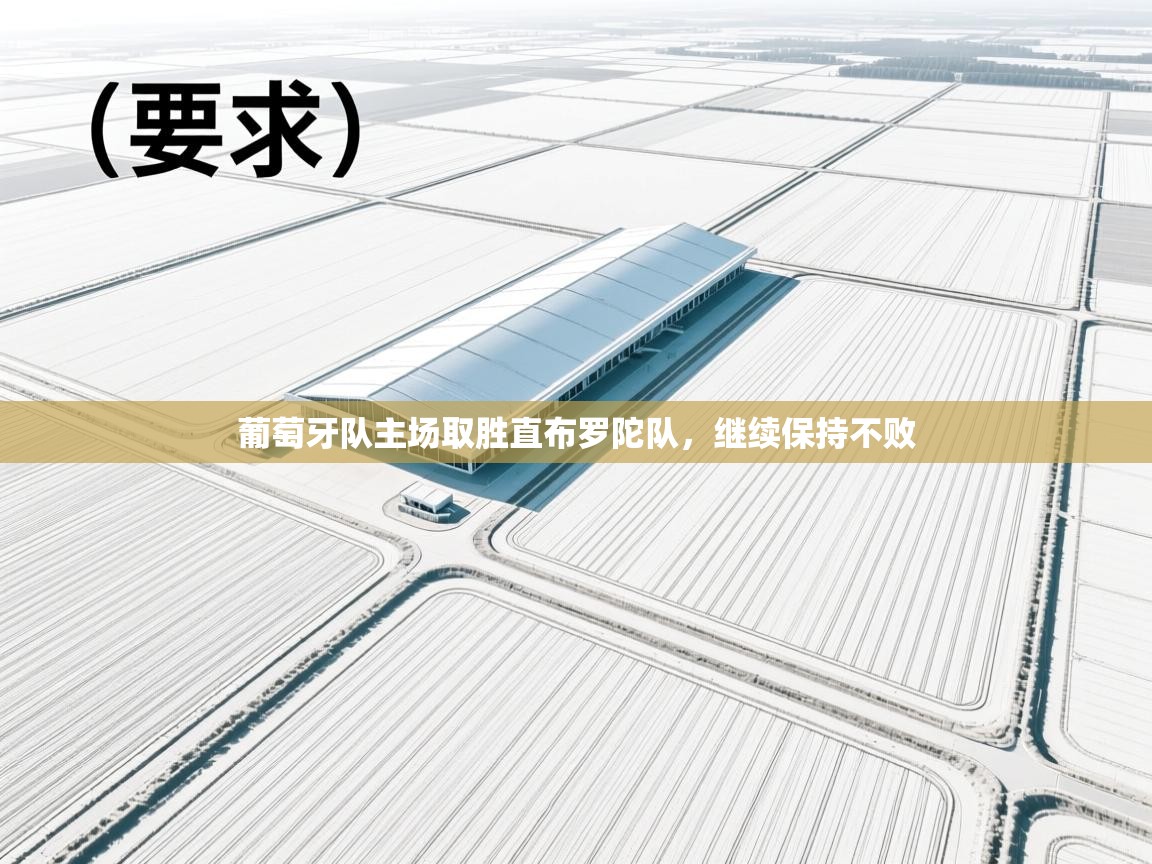 葡萄牙队主场取胜直布罗陀队，继续保持不败  第1张